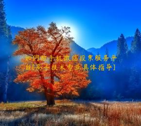 如何做手机微信投票服务平台[高手技术专业具体指导]