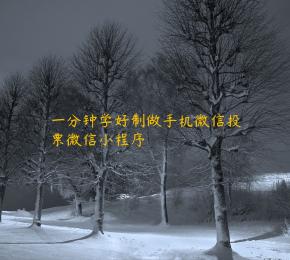 一分钟学好制做手机微信投票微信小程序
