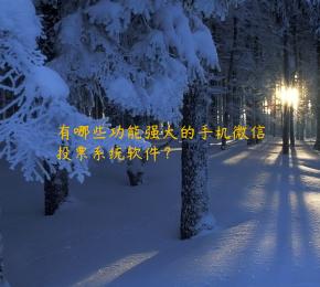 有哪些功能强大的手机微信投票系统软件？
