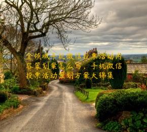 全领域手机微信投票活动内容策划案怎么写，手机微信投票活动策划方案大锦集