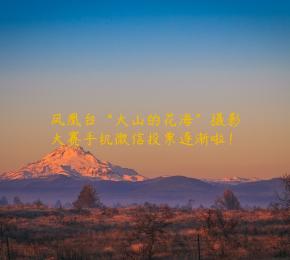 凤凰台“大山的花海”摄影大赛手机微信投票逐渐啦！