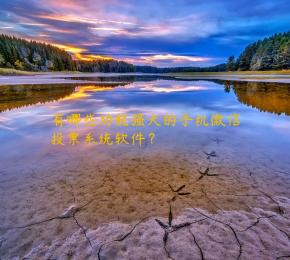 有哪些功能强大的手机微信投票系统软件？