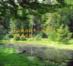 手机微信投票，拼的是人气值或是资金？
