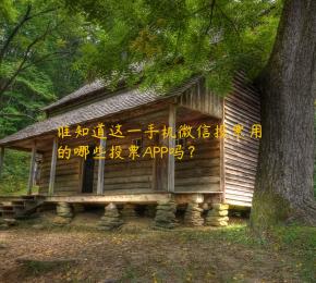 谁知道这一手机微信投票用的哪些投票APP吗？