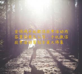 全领域手机微信投票活动内容策划案怎么写，手机微信投票活动策划方案大锦集
