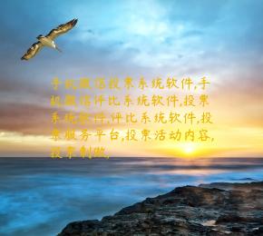 手机微信投票系统软件,手机微信评比系统软件,投票系统软件,评比系统软件,投票服务平台,投票活动内容,投票制做,