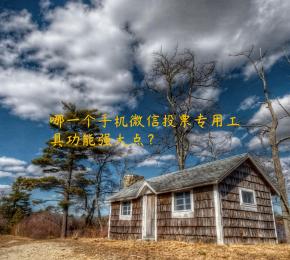 哪一个手机微信投票专用工具功能强大点？
