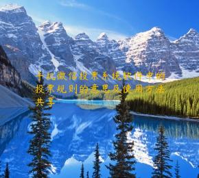 手机微信投票系统软件中的投票规则的意思及使用方法共享