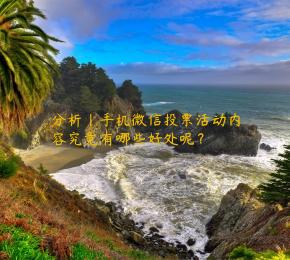 分析｜手机微信投票活动内容究竟有哪些好处呢？