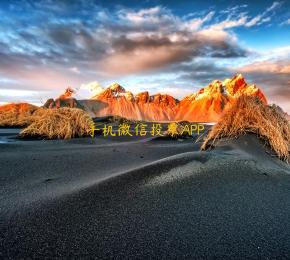 手机微信投票APP