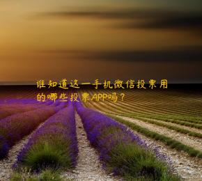 谁知道这一手机微信投票用的哪些投票APP吗？