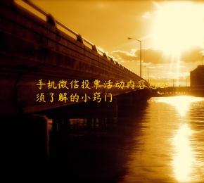 手机微信投票活动内容您必须了解的小窍门