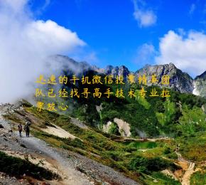 迅速的手机微信投票精英团队已经找寻高手技术专业拉票放心