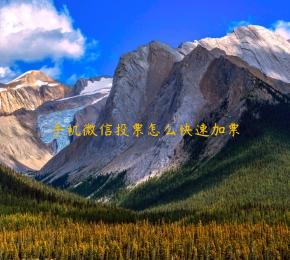 手机微信投票怎么快速加票