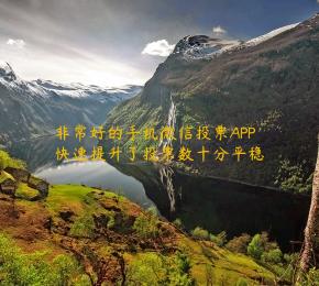 非常好的手机微信投票APP快速提升了投票数十分平稳