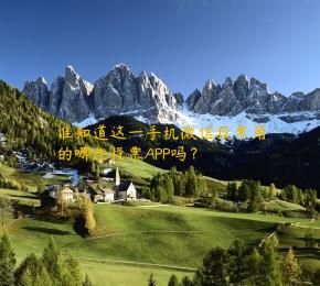 谁知道这一手机微信投票用的哪些投票APP吗？