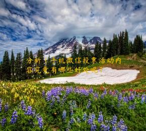 分析｜手机微信投票活动内容究竟有哪些好处呢？