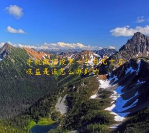 手机微信投票一个月几十万收益是该怎么办到的