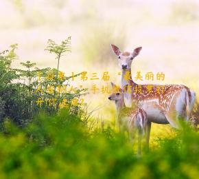 【投票】第三届“最美丽的人安钢人”手机微信投票打开!你选谁?
