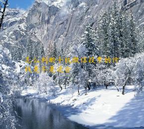 怎么判断手机微信投票的价钱是不是适合