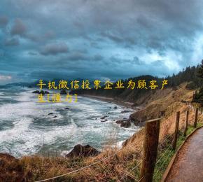 手机微信投票企业为顾客产生[强力]
