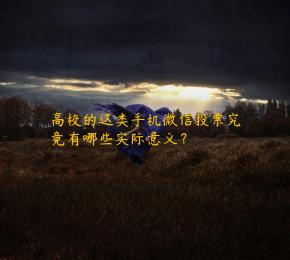 高校的这类手机微信投票究竟有哪些实际意义？