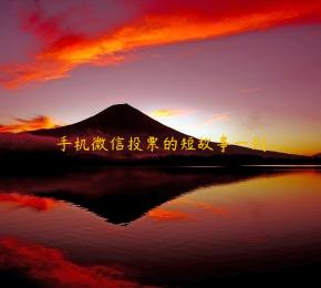手机微信投票的短故事一则