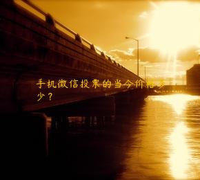 手机微信投票的当今价格多少？