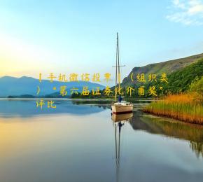 【手机微信投票】（组织类）“第六届证券化介甫奖”评比
