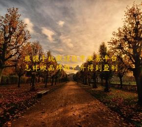 根据手机微信投票服务平台怎样做品牌推广并得到盈利