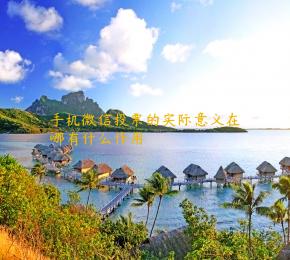 手机微信投票的实际意义在哪有什么作用