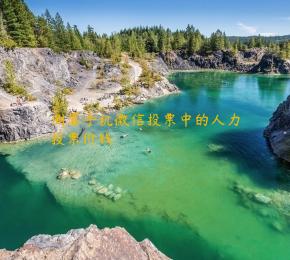 测算手机微信投票中的人力投票价钱