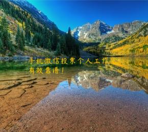 手机微信投票个人工作室，有效靠谱！