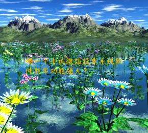 哪一个手机微信投票系统软件非常功能强大？