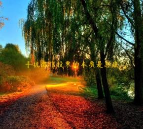 手机微信投票的本质是怠政