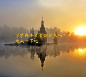 你掌握手机微信投票吗？快看来一下吧