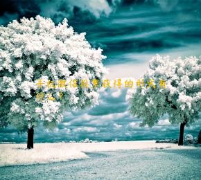 手机微信投票获得的形式有什么？
