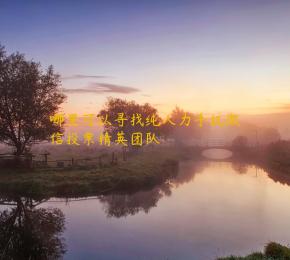 哪里可以寻找纯人力手机微信投票精英团队