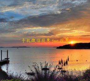 手机微信投票 fast 投票