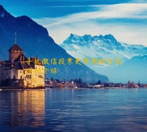 手机微信投票更常用的方式详细介绍