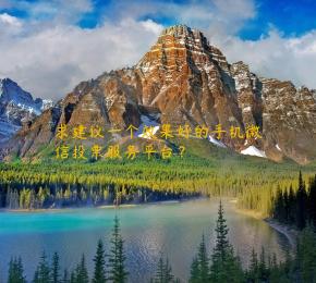 求建议一个效果好的手机微信投票服务平台？
