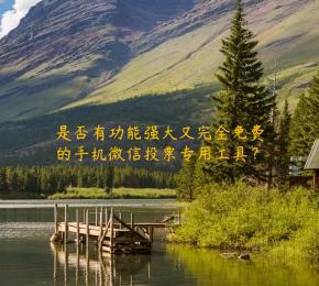 是否有功能强大又完全免费的手机微信投票专用工具？