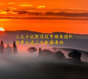 三毛手机微信投票精英团队投票大选三毛数据漫游