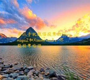 用以手机微信投票的Glory magic2和Xiaomi mix3。你能投票给谁